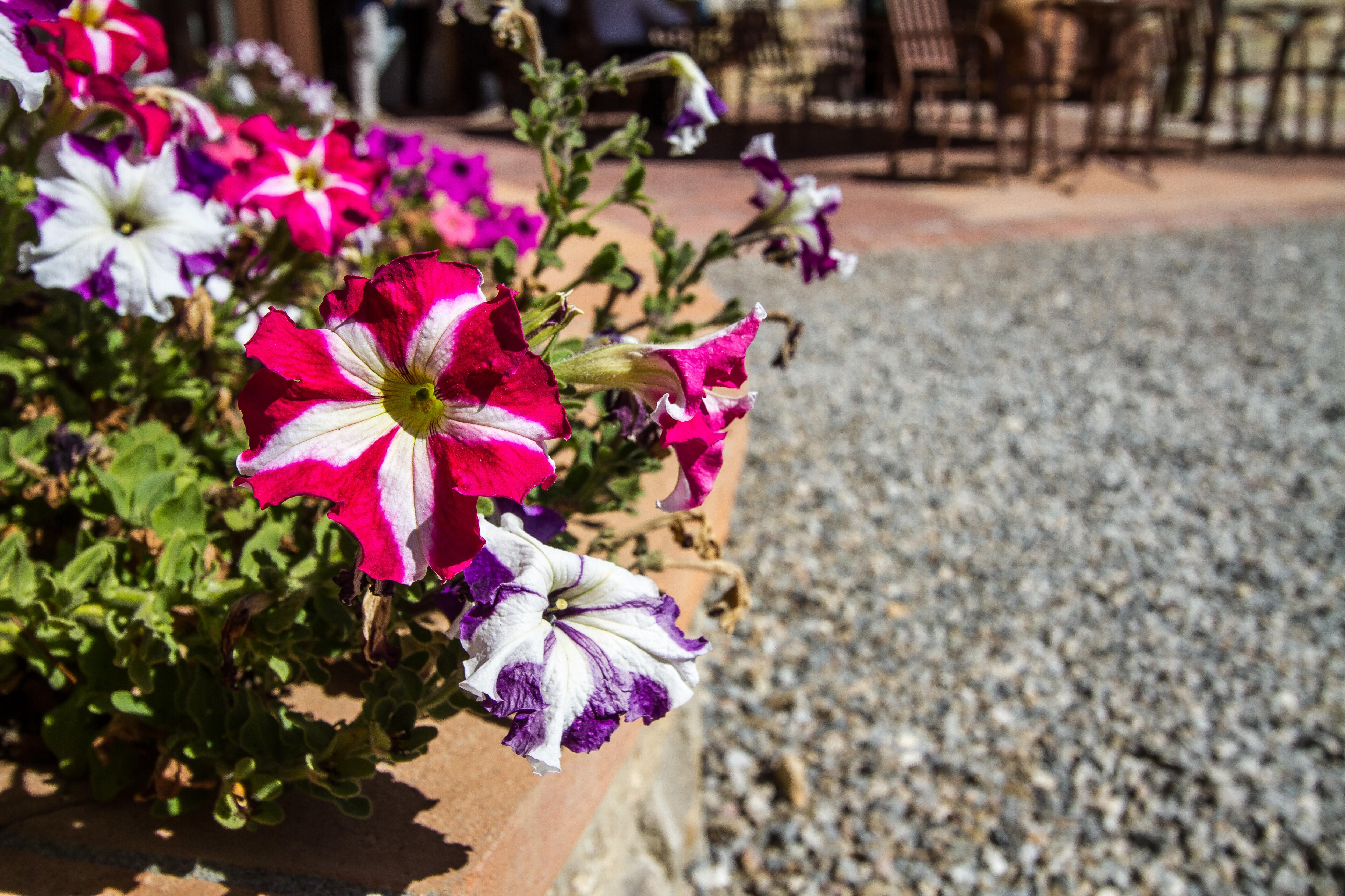 Relais Villa Olmo - Place Of Charme Impruneta Exterior photo
