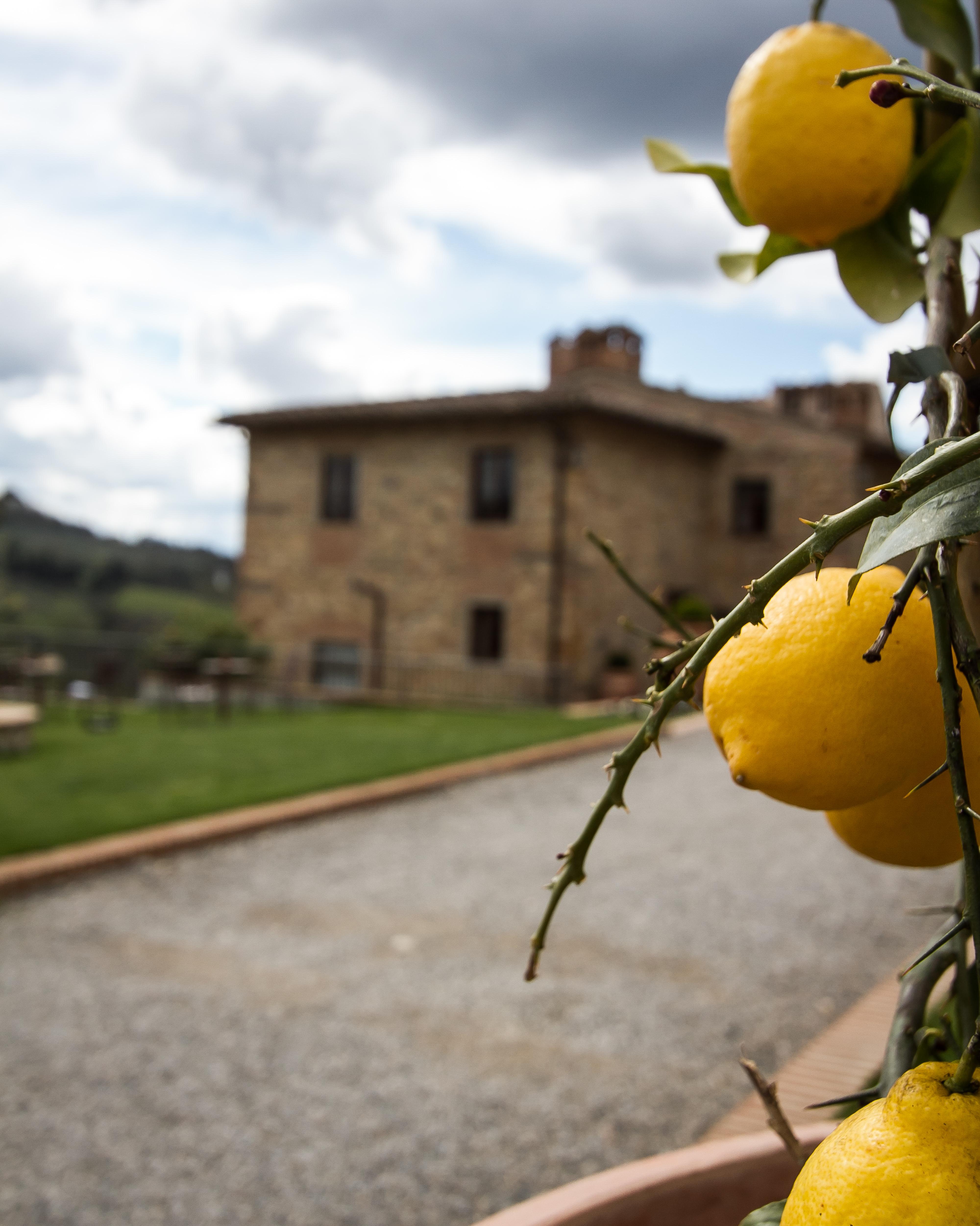 Relais Villa Olmo - Place Of Charme Impruneta Exterior photo